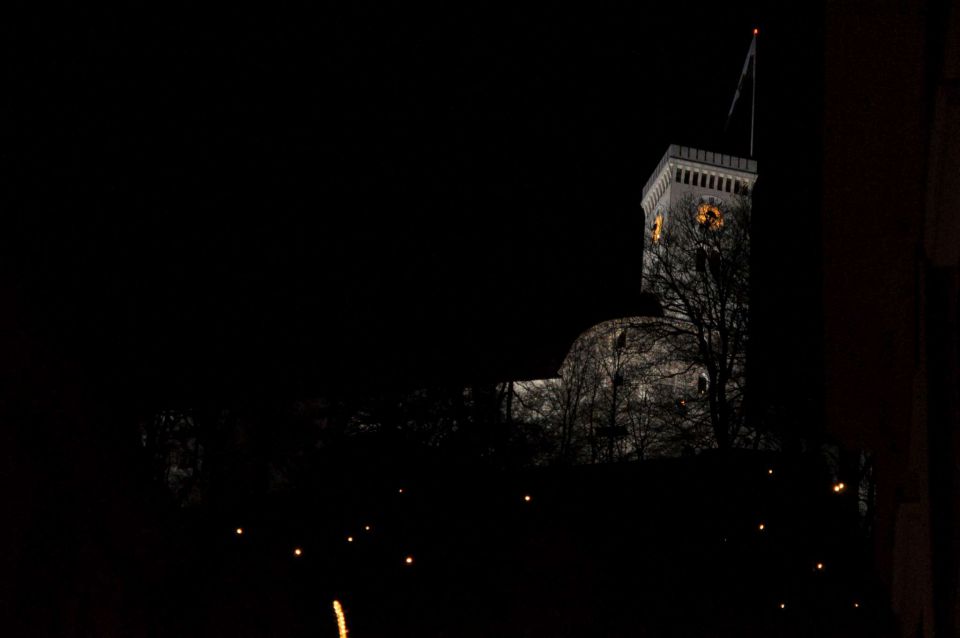 Z vlakom v novoletno Ljubljano - foto povečava