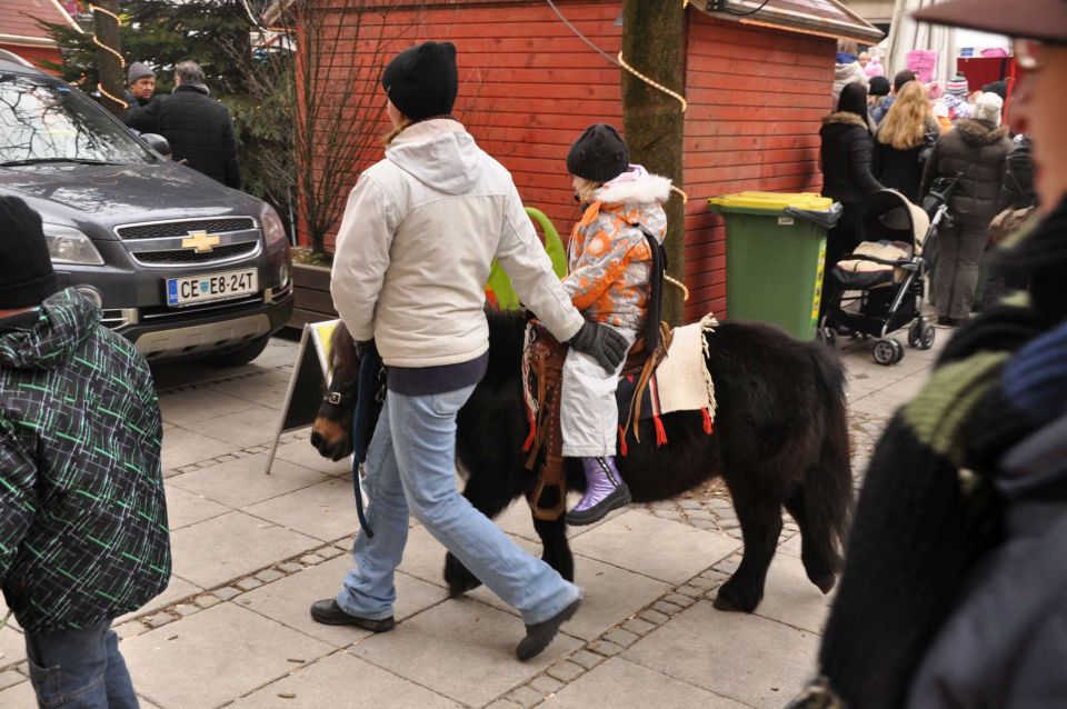 Novo leto v Pravljični deželi 31.12.2010  - foto povečava