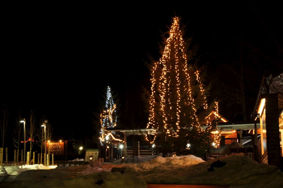 Dopust 6.1-9.1.2011 Bohinj in okolica - foto povečava