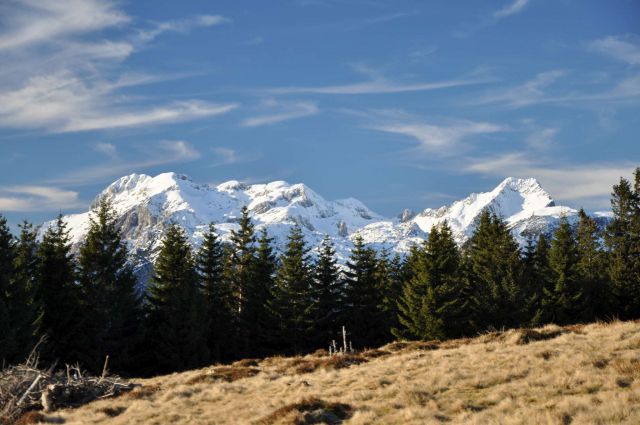 Kranjska reber, sredina januarja 2011 - foto