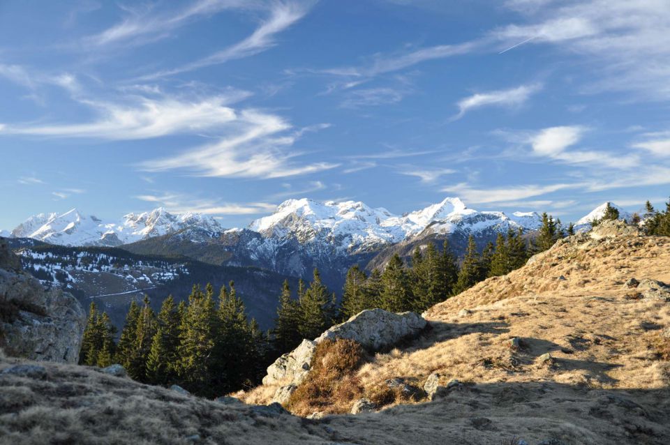 Kranjska reber, sredina januarja 2011 - foto povečava