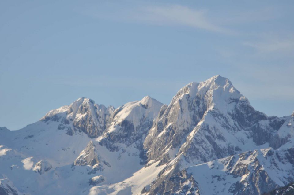 Kranjska reber, sredina januarja 2011 - foto povečava