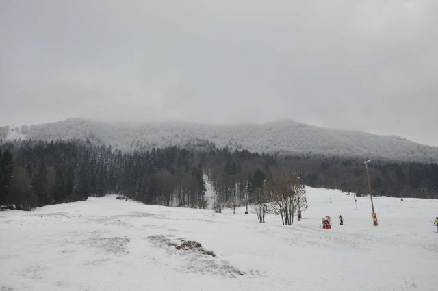 Črni vrh nad Idrijo 29.1.2011 - foto