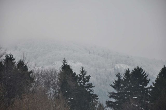 Črni vrh nad Idrijo 29.1.2011 - foto