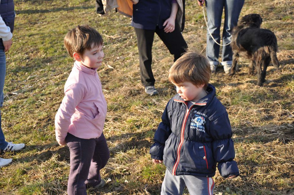 Pečica 6.2.2011 sprehod - foto povečava