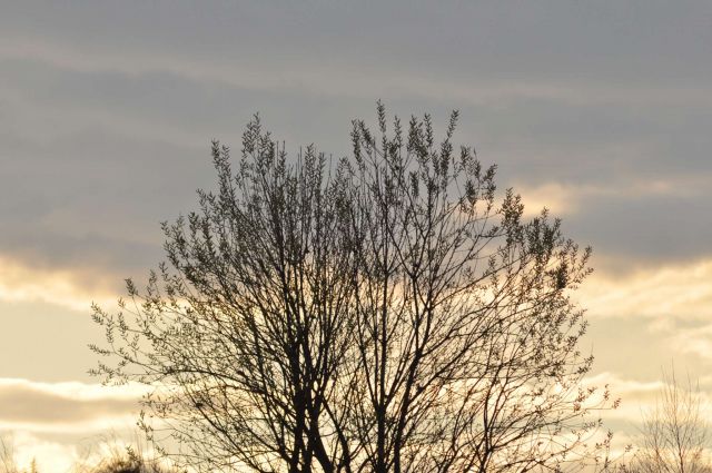 Celje, igrišče 5.4.2011 - foto