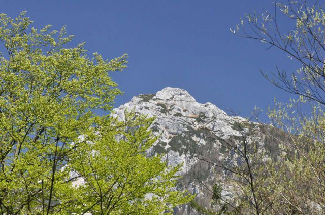 Slap Orglice, Kamniška bistrica 10.4.2011 - foto