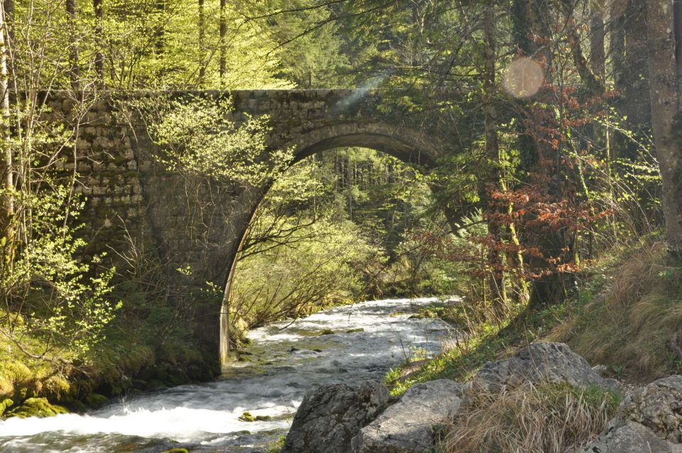  Kamniška bistrica 10.4.2011 - foto povečava