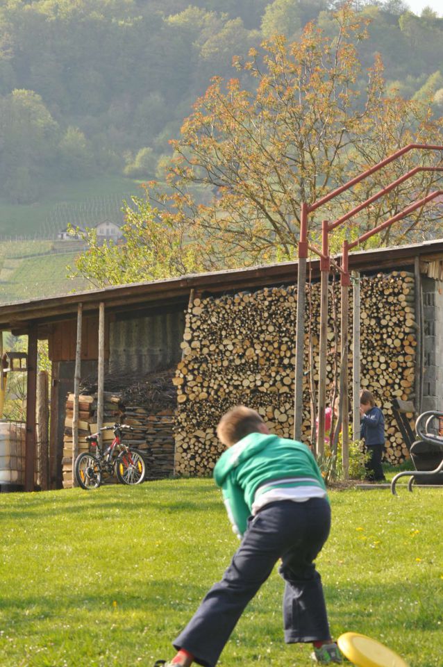 Pečica, cvetna nedelja 17.4.2011 - foto povečava