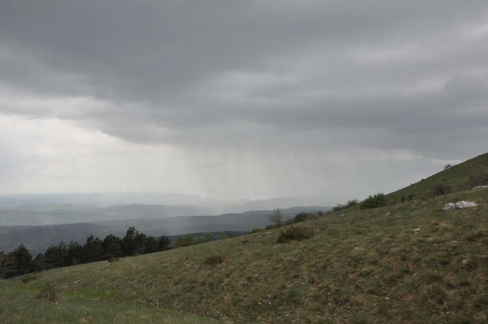 Slavnik, Izola 29.4.2011 - foto povečava