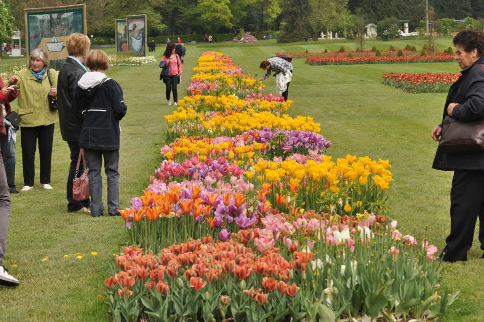 Arboretum rože - 30.4.2011 - foto povečava