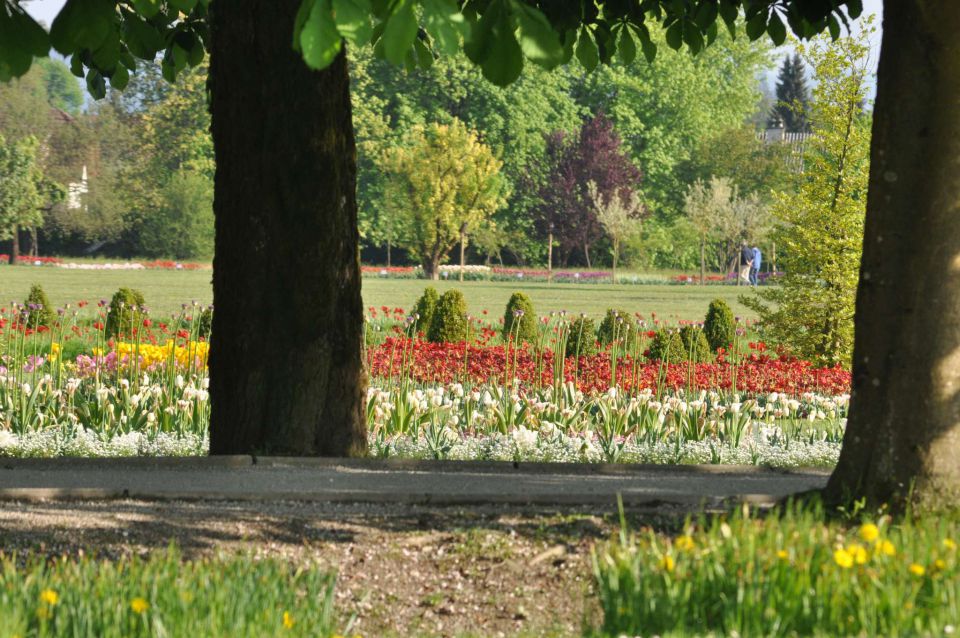 Arboretum rože - 30.4.2011 - foto povečava