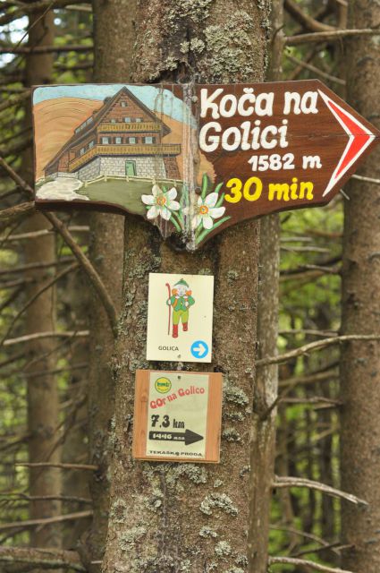 Golica, Bled 21.5.2011 part 2 - foto