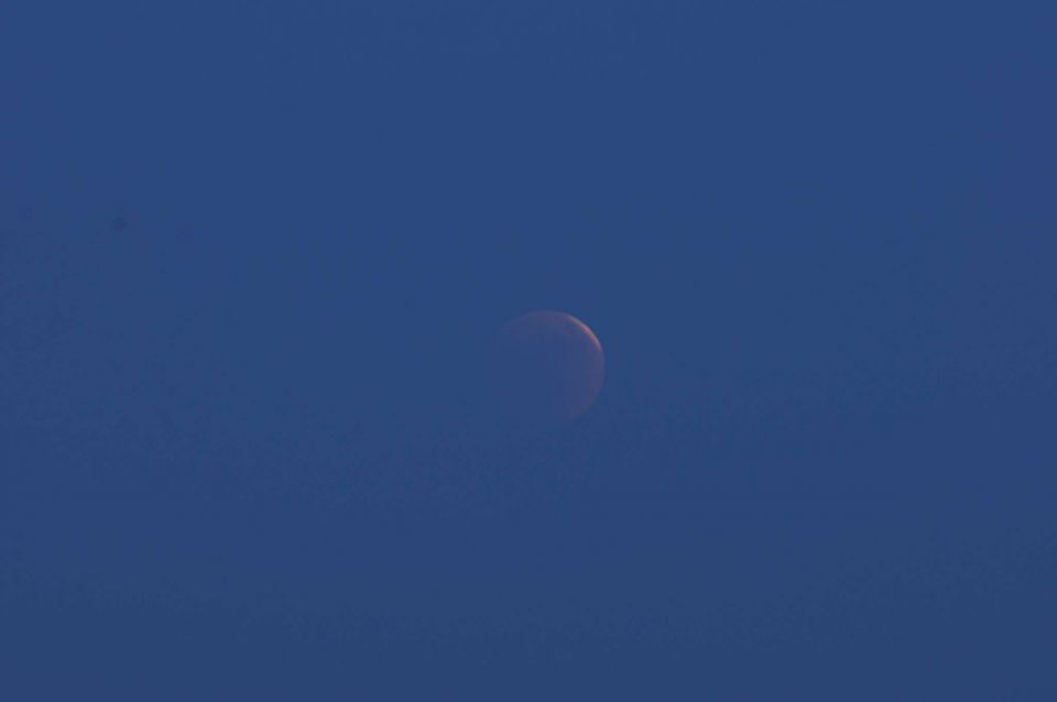 Lunin mrk 15.6.2011 - foto povečava