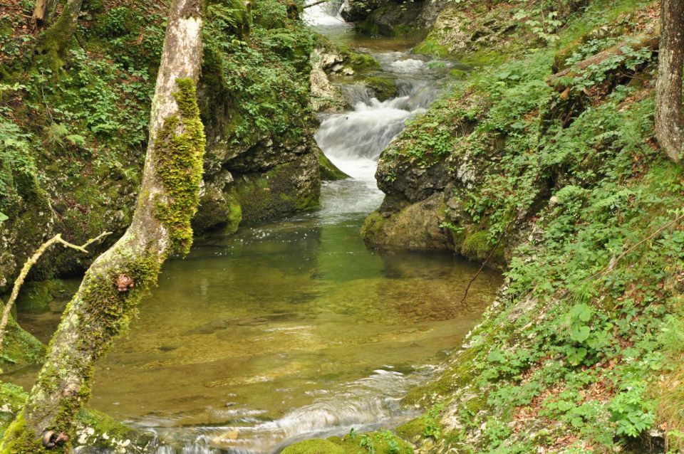 Vogar, korita Mostnice 24.7.2011 - foto povečava