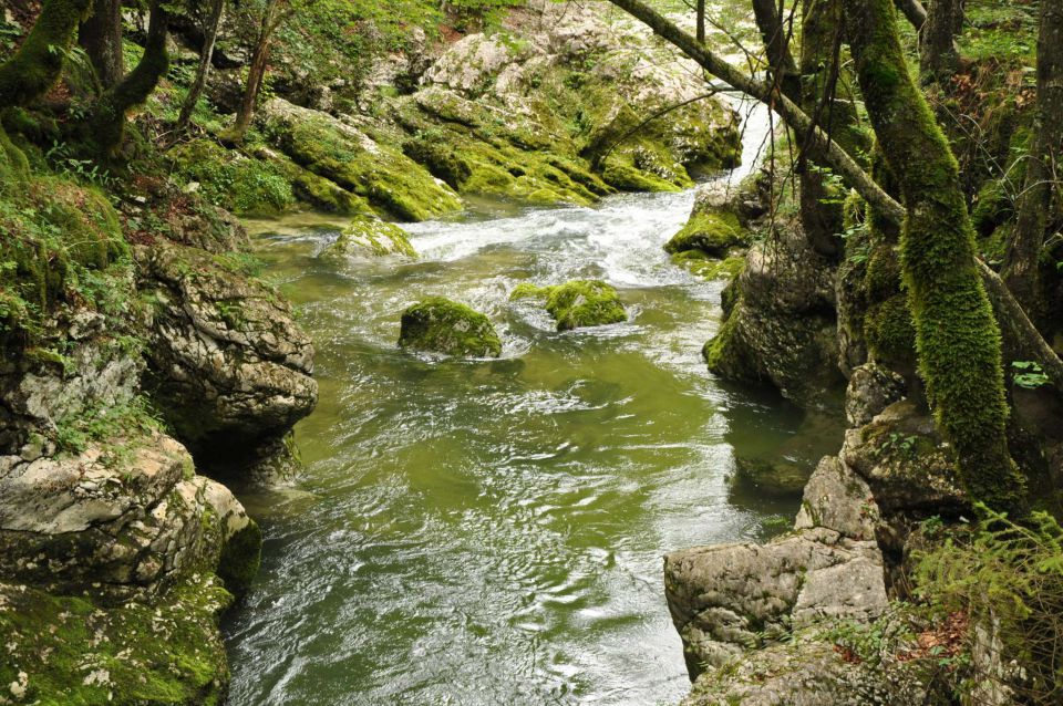 Vogar, korita Mostnice 24.7.2011 - foto povečava