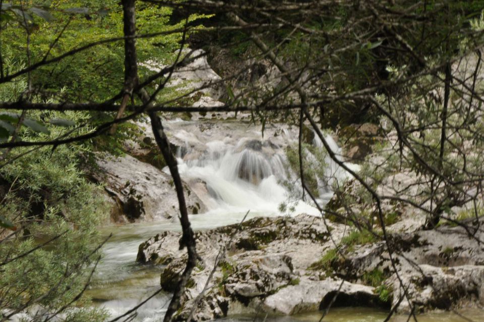 Vogar, korita Mostnice 24.7.2011 - foto povečava