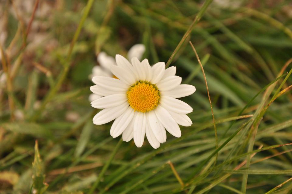 Viševnik 26.7.2011 - foto povečava