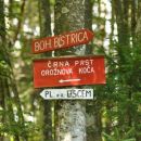 Črna prst 27.7.2011
