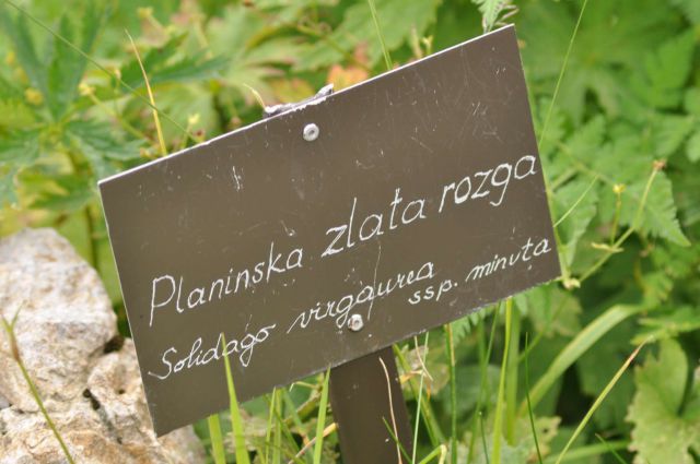 Črna prst 27.7.2011 - foto