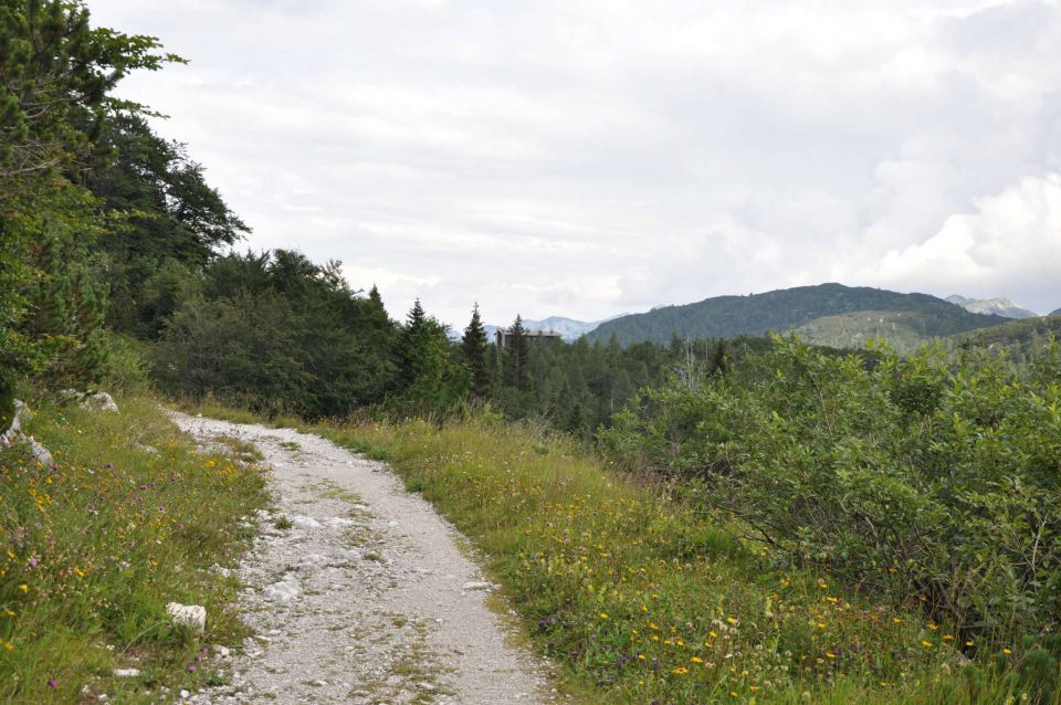 Od Savice na Komno 29.7.2011 - foto povečava