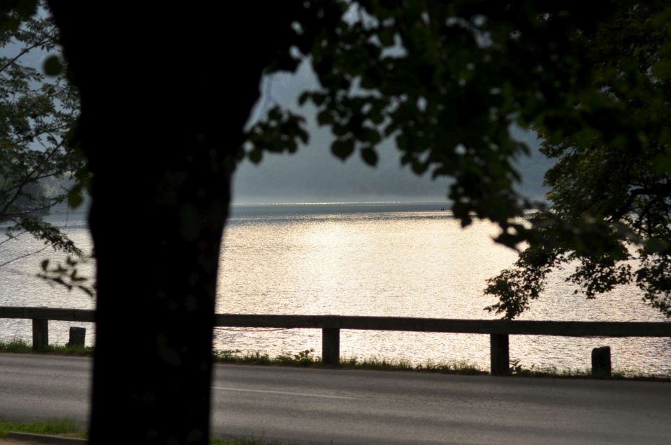 Ob jezeru 29.7.2011 - foto povečava