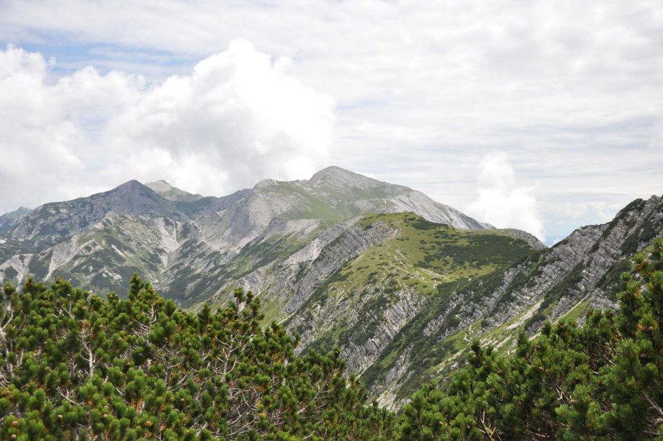 Vogel 31.7.2011 - foto povečava