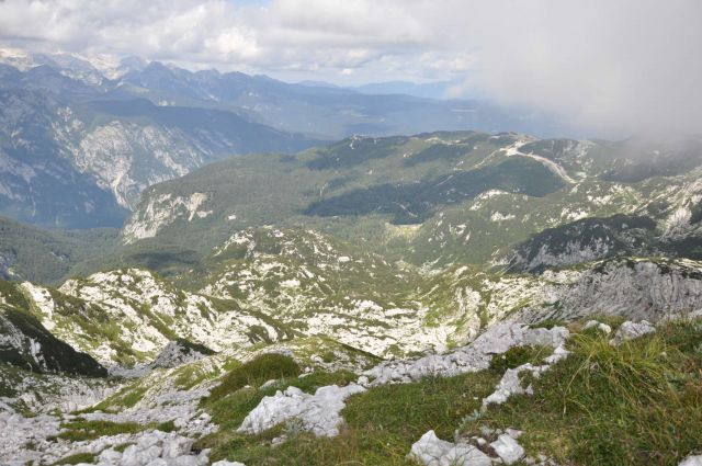 Vogel 31.7.2011 - foto