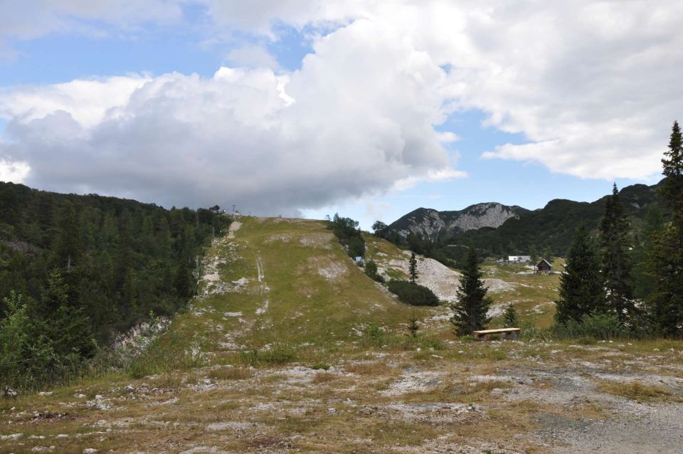 Vogel 31.7.2011 - foto povečava