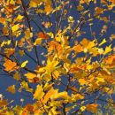 Šmartinsko jezero via Lahovna 15.10.2011