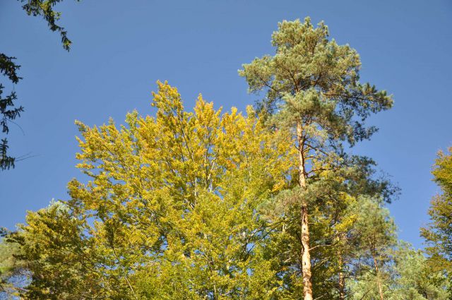 Šmartinsko jezero via Lahovna 15.10.2011 - foto