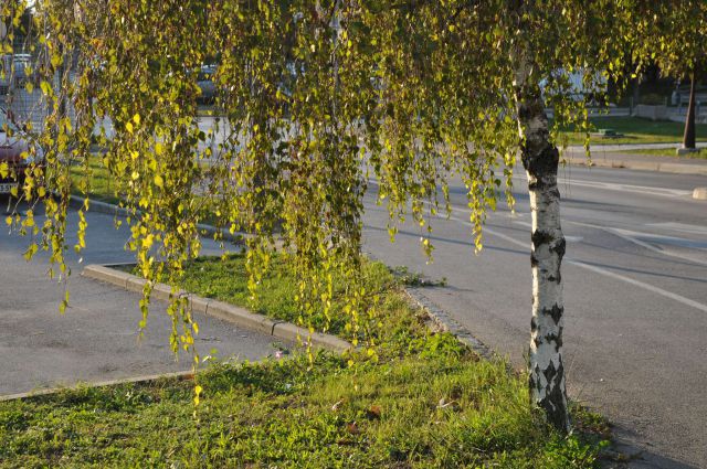 Šmartinsko jezero via Lahovna 15.10.2011 - foto