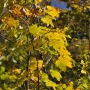 Savinjska 16.10.2011