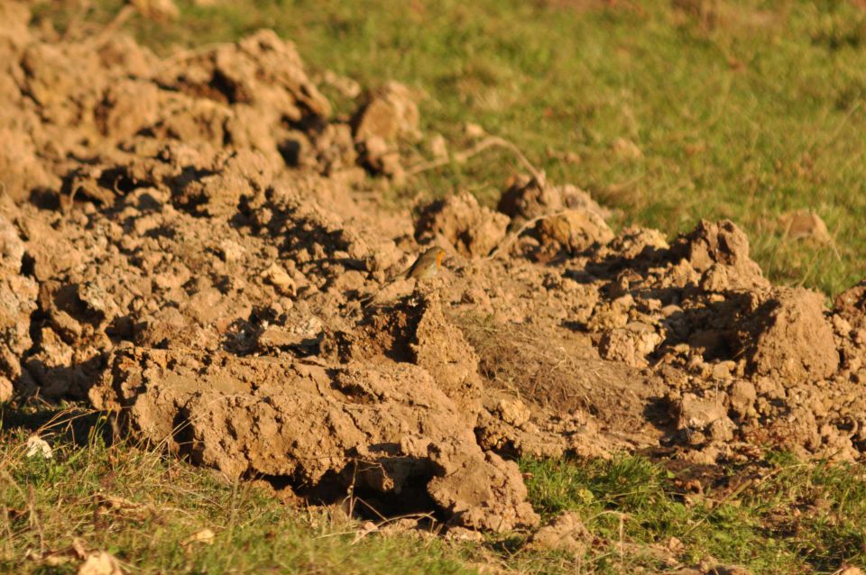 Savinjska 16.10.2011 - foto povečava