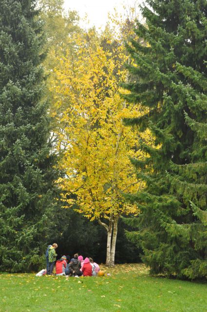 Taborniki Celje park 22.10.2011 - foto