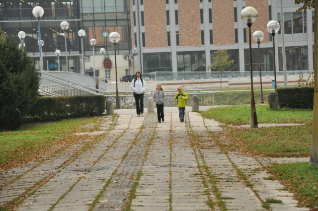 Taborniki Celje park 22.10.2011 - foto