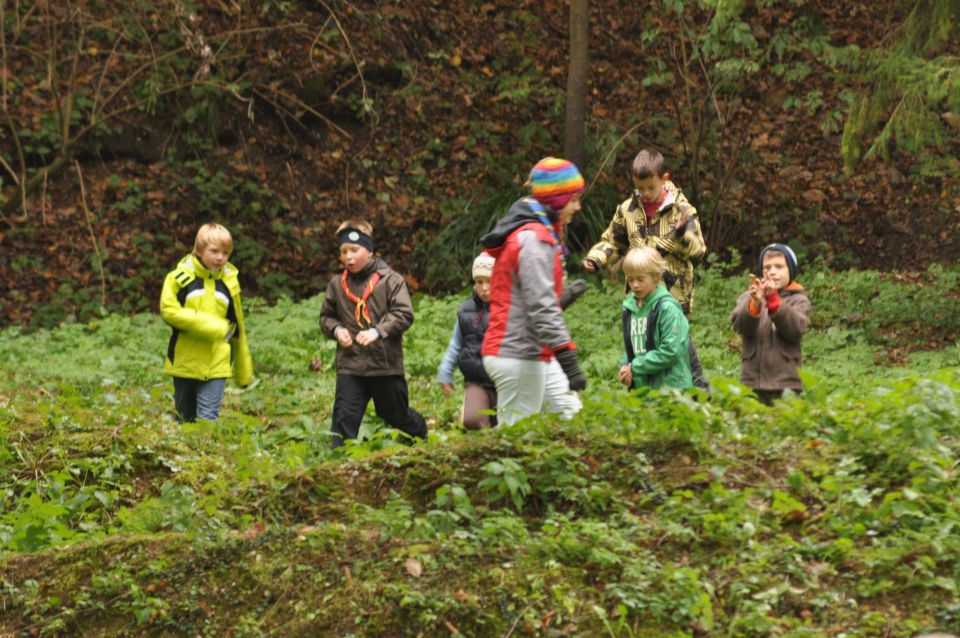 Taborniki Celje park 22.10.2011 - foto povečava