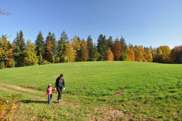 Gora Oljka 31.10.2011 - foto