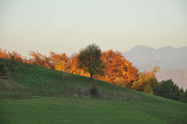 Gora Oljka 31.10.2011 - foto