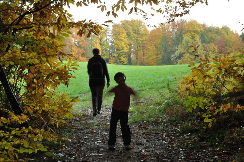 Gora Oljka 31.10.2011 - foto povečava