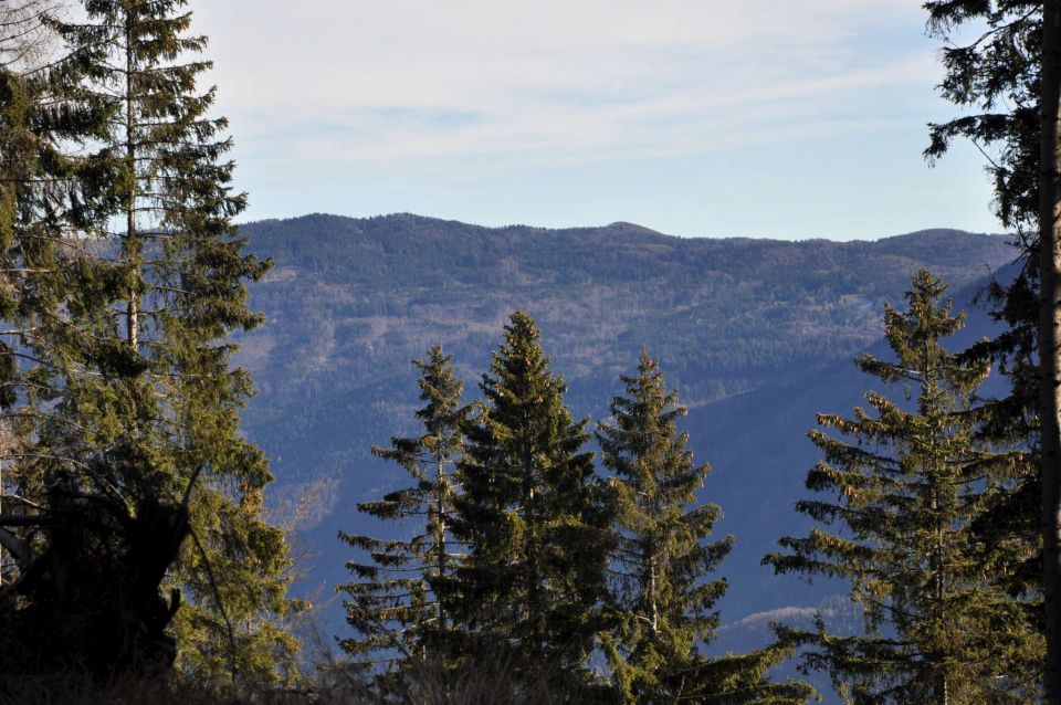 Kranjska reber 27.11.2011 - foto povečava