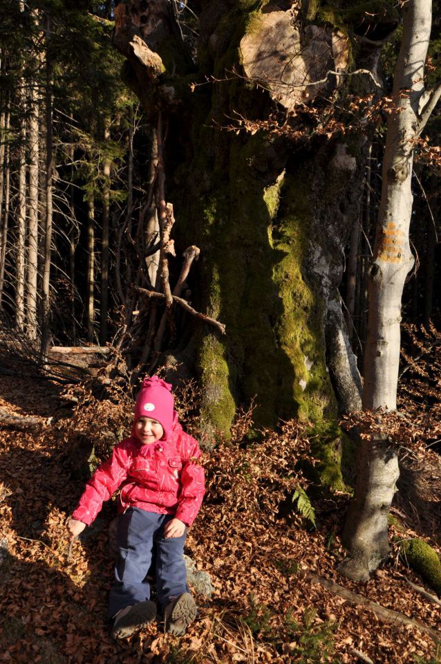 Kranjska reber 27.11.2011 - foto povečava