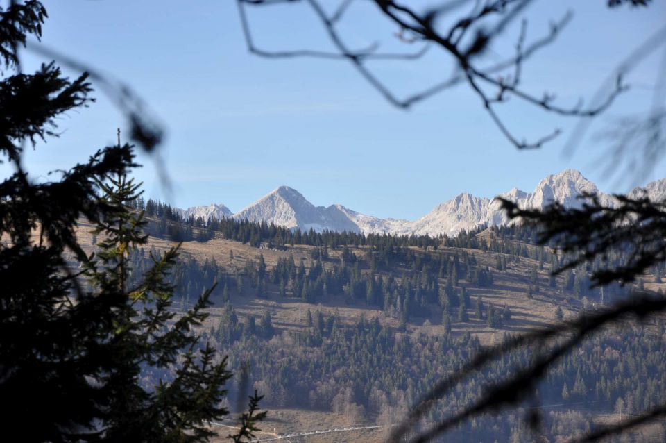 Kranjska reber 27.11.2011 - foto povečava