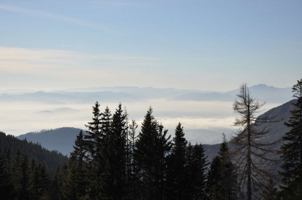 Kranjska reber 27.11.2011 - foto povečava