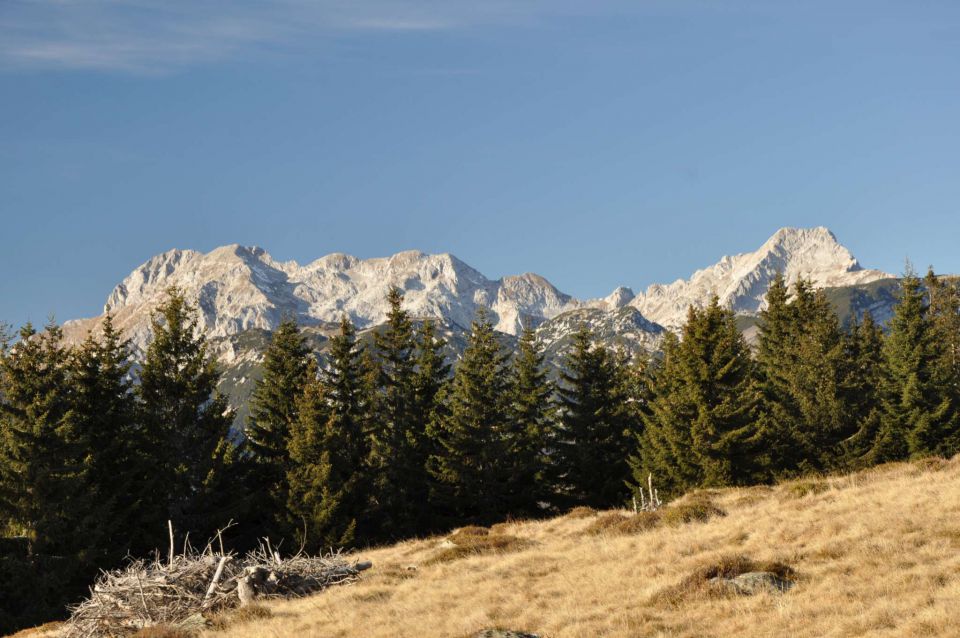 Kranjska reber 27.11.2011 - foto povečava