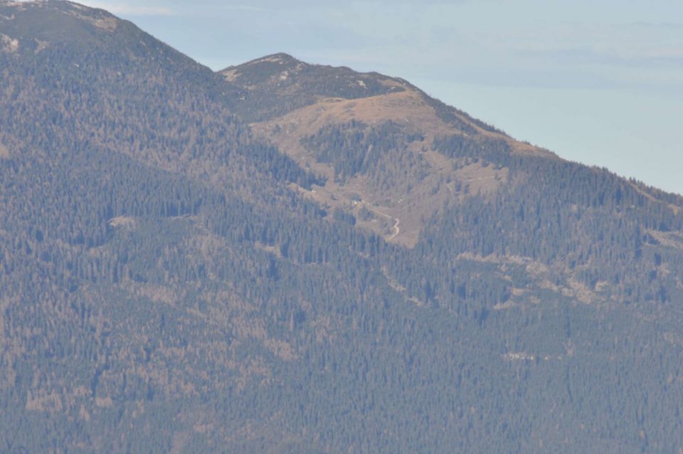 Kranjska reber 27.11.2011 - foto povečava