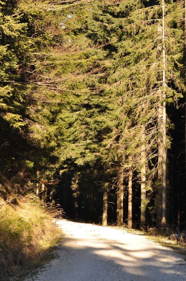 Kranjska reber 27.11.2011 - foto povečava