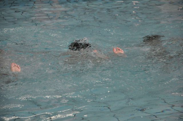 Plavalni tečaj, zaključek 13.12.2011 - foto