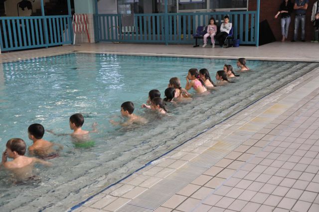 Plavalni tečaj, zaključek 13.12.2011 - foto