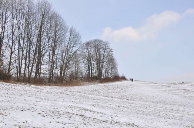 Snežne radosti Celje 5.2.2012 - foto